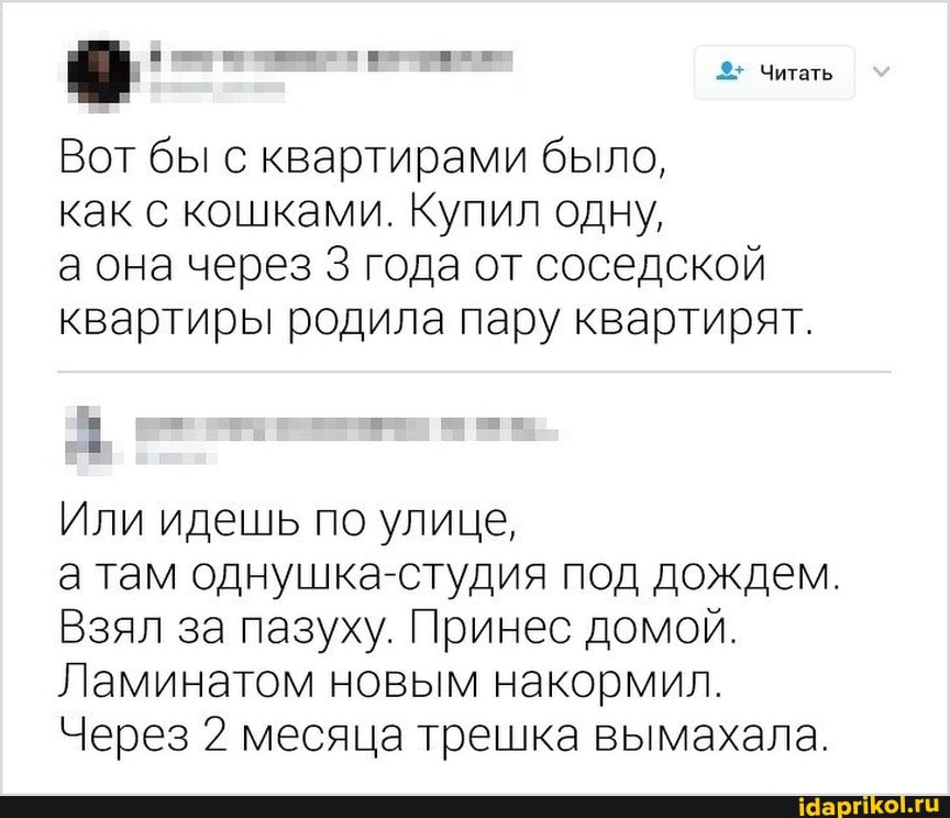 Читать
Вот бы с квартирами было,
как с кошками. Купил одну,
а она через 3 года от соседской квартиры родила пару квартирят.
Или идешь по улице,
а там однушка-студия под дождем.
Взял за пазуху. Принес домой.
Ламинатом новым накормил.
Через 2 месяца трешка вымахала.