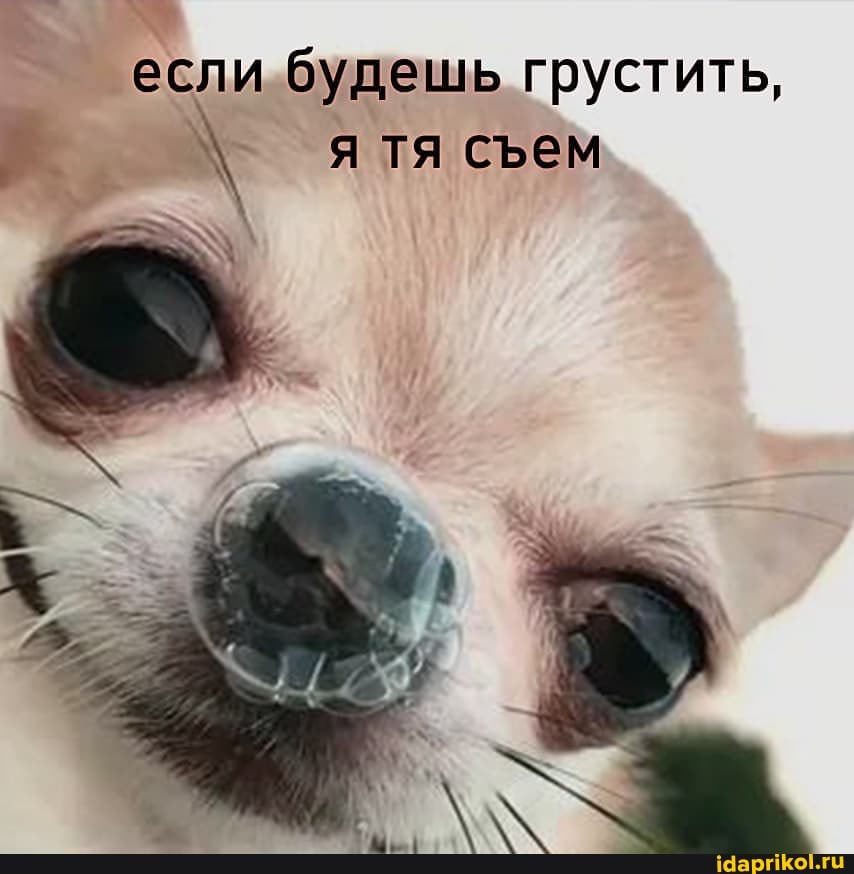 если будешь грустить, я тя сеем