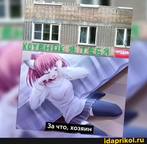 За что, хозяин