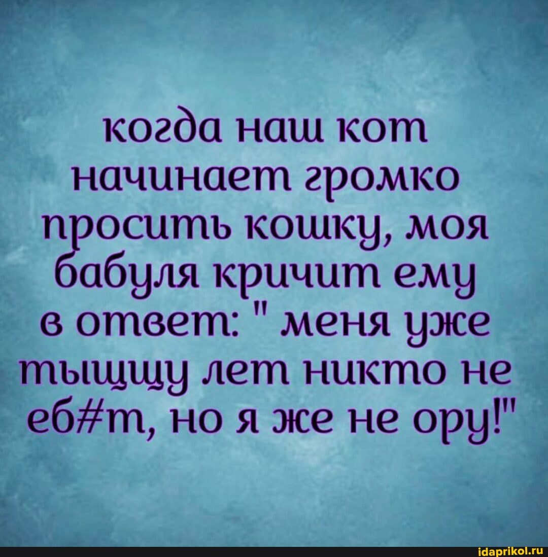 когда наш кот начинает громко просить кошку, моя абуля кричит ему в ответ: " меня уже тыщщу лет никто не еб т, но я же не ору!"