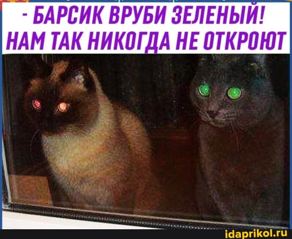 - БАРСИК ВРУБИ ЗЕЛЕНЫЙ! I НАМ ТАК НИКОГДА НЕ ОТКРОЮТ