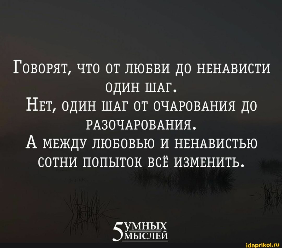 Говорят, ЧТО ОТ ЛЮБВИ ДО НЕНАВИСТИ ОДИН ШАГ.
НЕТ, ОДИН ШАГ ОТ ОЧАРОВАНИЯ ДО РАЗОЧАРОВАНИЯ.
ДА МЕЖДУ ЛЮБОВЬЮ И НЕНАВИСТЬЮ СОТНИ ПОПЫТОК ВСЁ ИЗМЕНИТЬ.
умных
МЫСЛЕЙ