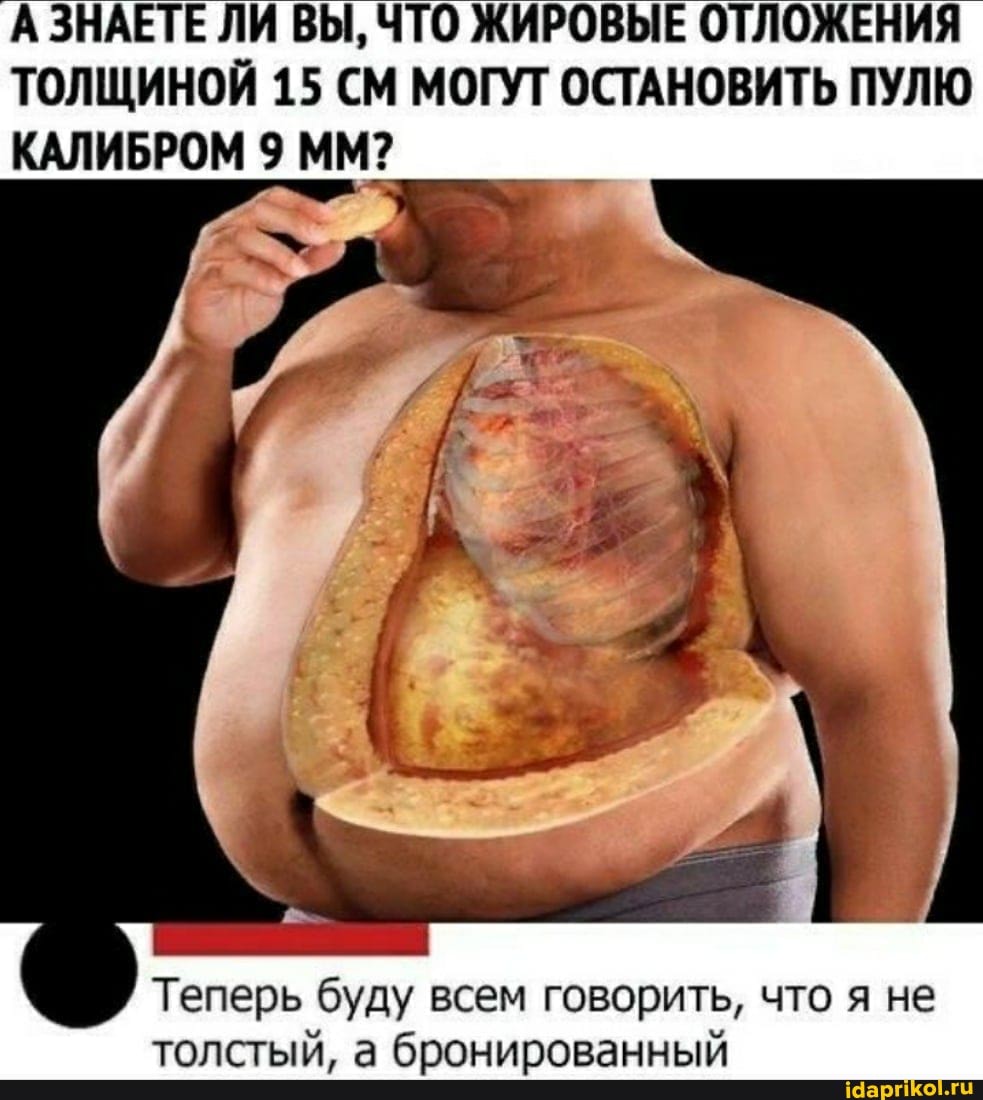 ЗНАЕТЕ ЛИ ВЫ, ЧТО ЖИРОВЫЕ ОТЛОЖЕНИЯ
ТОЛЩИНОЙ 15 СМ МОГУТ ОСТАНОВИТЬ ПУЛЮ КАЛИБРОМ 9 ММ?
Теперь буду всем говорить, что я не толстый, а бронированный