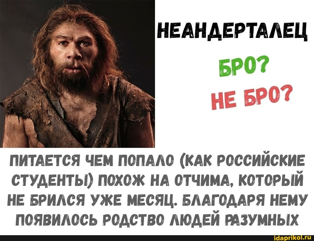 НЕАНДЕРТАЛЕЦ
НЕ
ПИТАЕТСЯ ЧЕМ ПОПАЛО (КАК РОССИЙСКИЕ СТУДЕНТЫ) ПОХОЖ НА ОТЧИМА, КОТОРЫЙ
НЕ БРИЛСЯ УЖЕ МЕСЯЦ. БЛАГОДАРЯ НЕМУ ПОЯВИЛОСЬ РОДСТВО ЛЮДЕЙ РАЗУМНЫХ