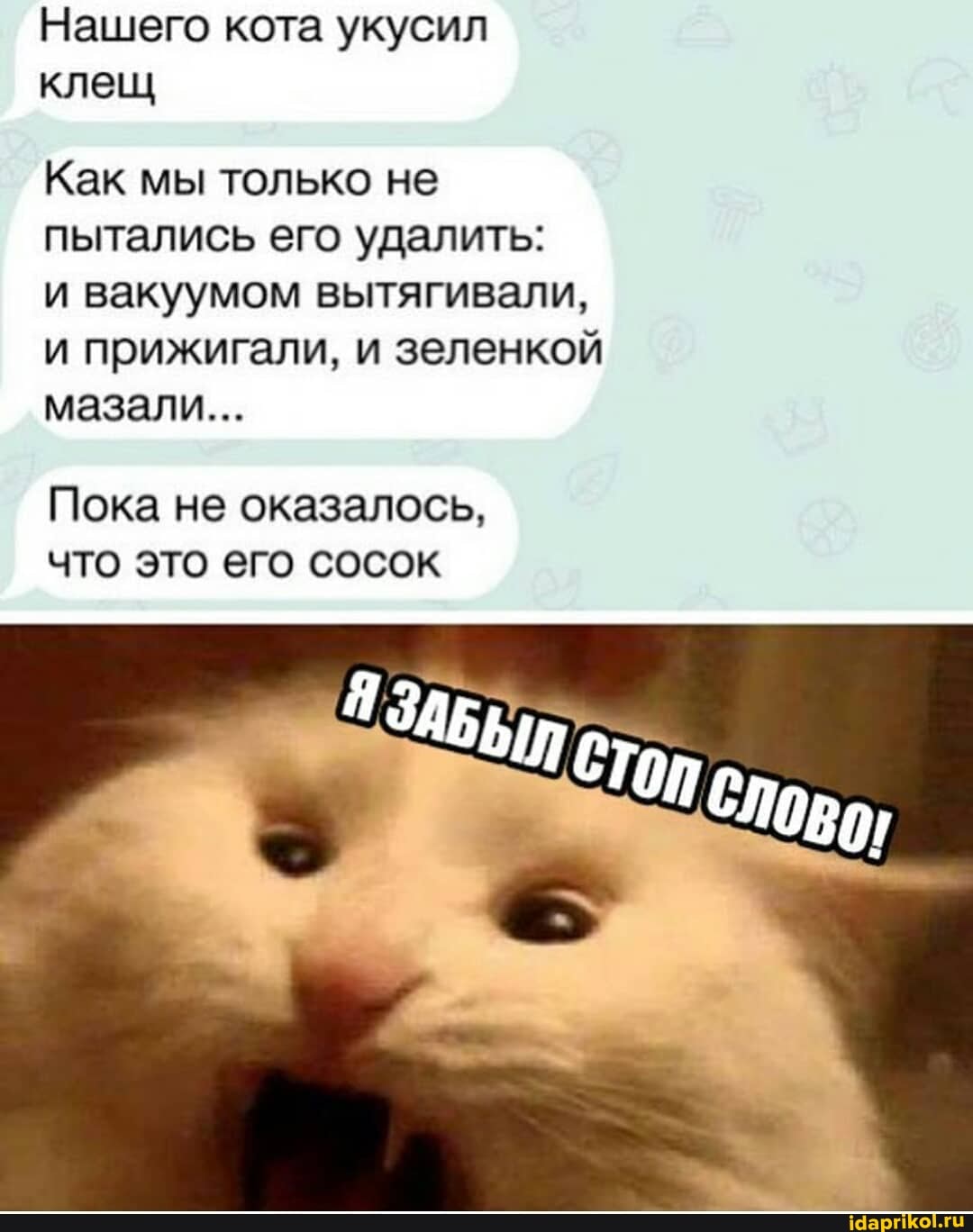 Нашего кота укусил клещ
Как мы только не пытались его удалить:
и вакуумом вытягивали, и прижигали, и зеленкой мазали...
Пока не оказалось, что это его сосок