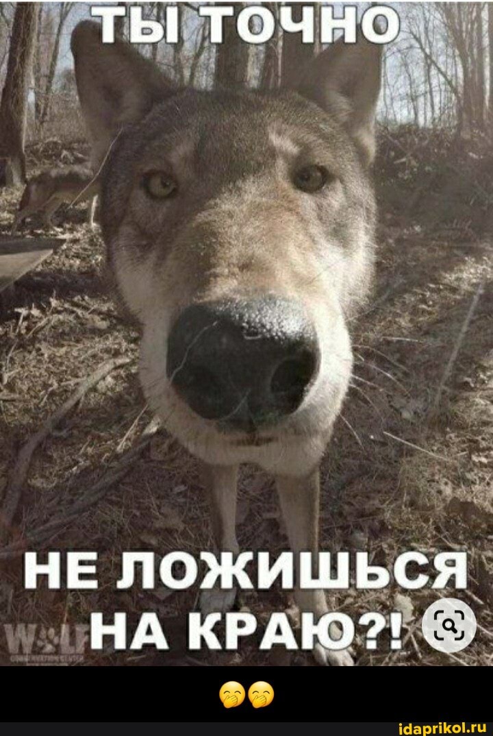 ТЫ тОчно
НЕ ЛОЖИШЬСЯ НА КРАЮ?! - 🤭🤭