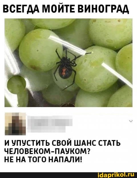 ВСЕГДА МОЙ
ТЕ ВИНОГРАД
И УПУСТИТЬ СВОЙ ШАНС СТАТЬ ЧЕЛОВЕКОМ НЕ НА ТОГО НАПАЛИ!