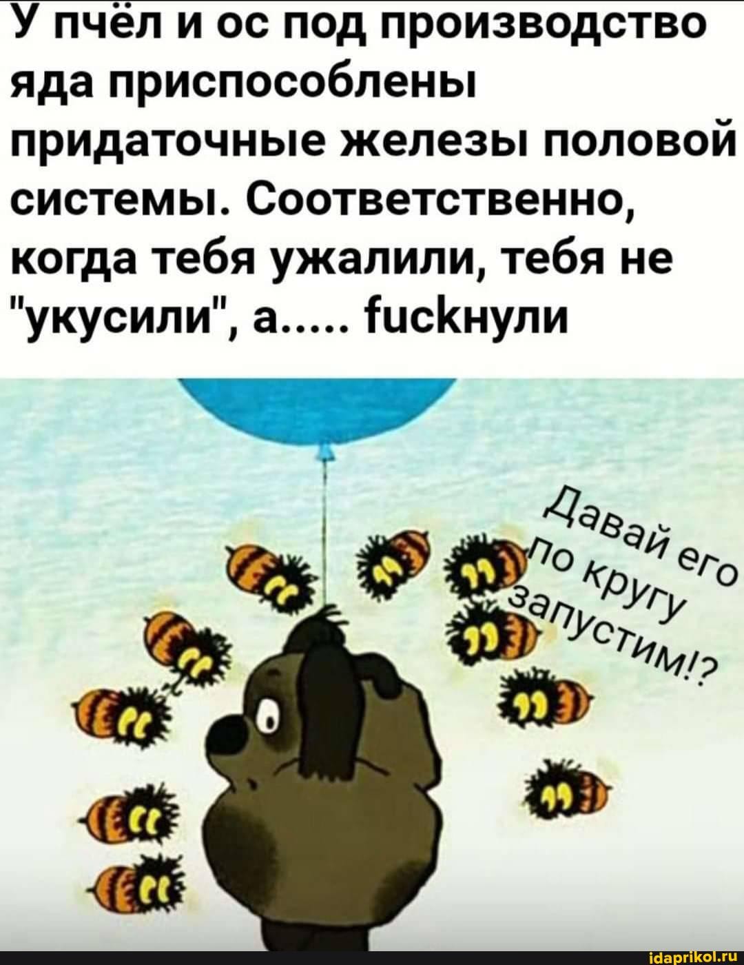 У пчел и ос под производство яда приспособлены придаточные железы половой системы. Соответственно, когда тебя ужалили, тебя не
"укусили", а..... тисКнули