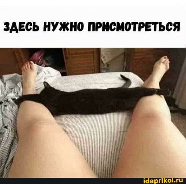 ЗДЕСЬ НУЖНО ПРИСМОТРЕТЬСЯ