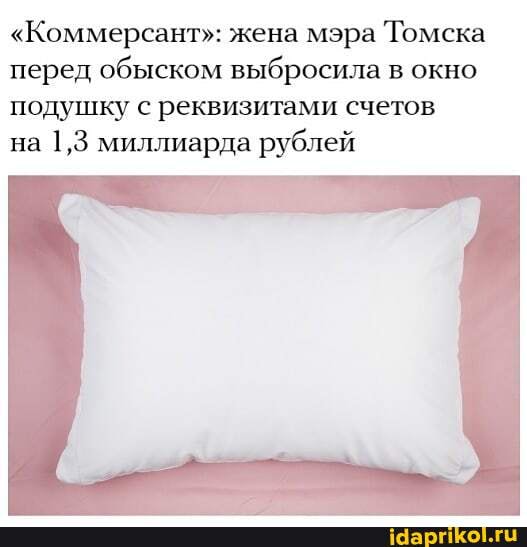 "Коммерсант": жена мэра Томска перед обыском выбросила в окно подушку с реквизитами счетов
на 1,3 миллиарда рублей