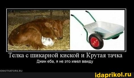 'Телка с шикарной киской и Крутая тачка
Джин еба, я не это имел ввиду