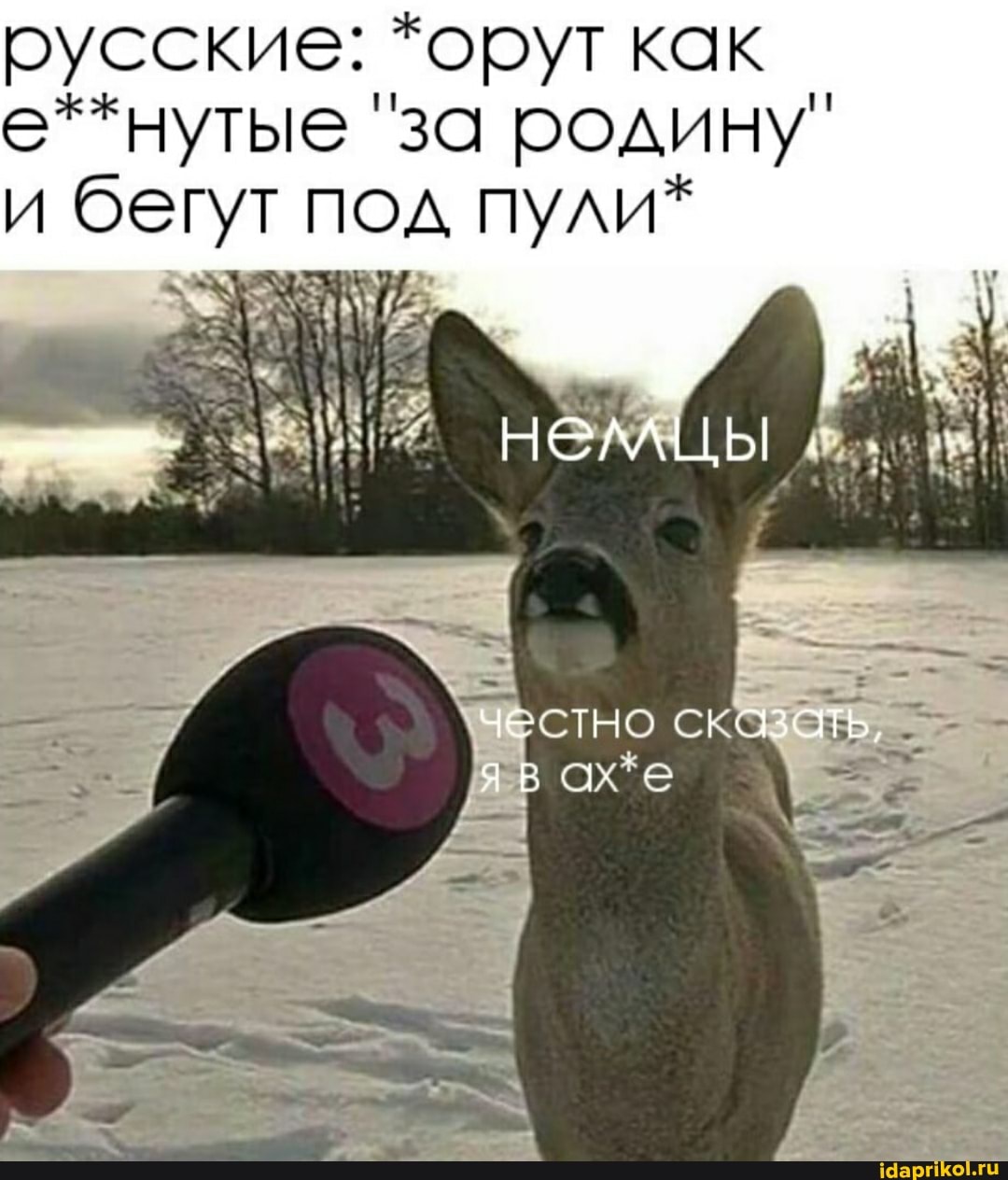 русские: *орут как е**нутые "за родину"
и бегут под пули*
- немцы...
честНо" оЗЯТЬ,
яв