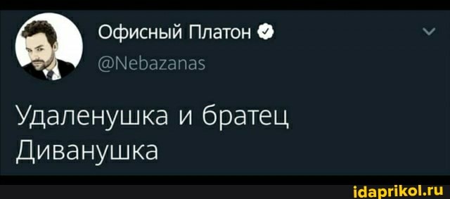 Офисный Платон
Удаленушка и братец
Диванушка