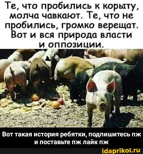 Те, что пробились к корыту, молча чавкают. Те, что не пробились, громко верещат.
Вот от и вся природа власти и оппозиции.
Вот такая история
поставьте пж лайк пж - Вот такая история ребятки, подпишитесь пж и поставьте пж лайк пж