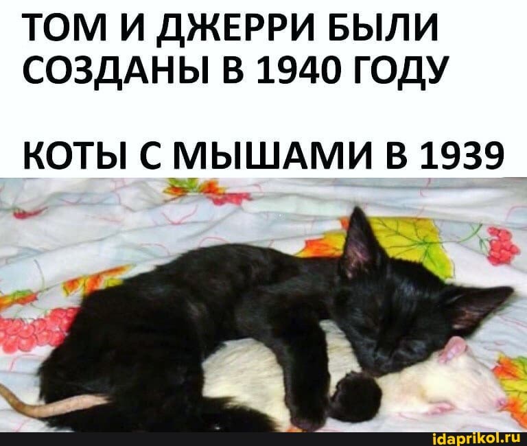 ТОМ И ДЖЕРРИ БЫЛИ СОЗДАНЫ В 1940 ГОДУ
КОТЫ С МЫШАМИ В 1939