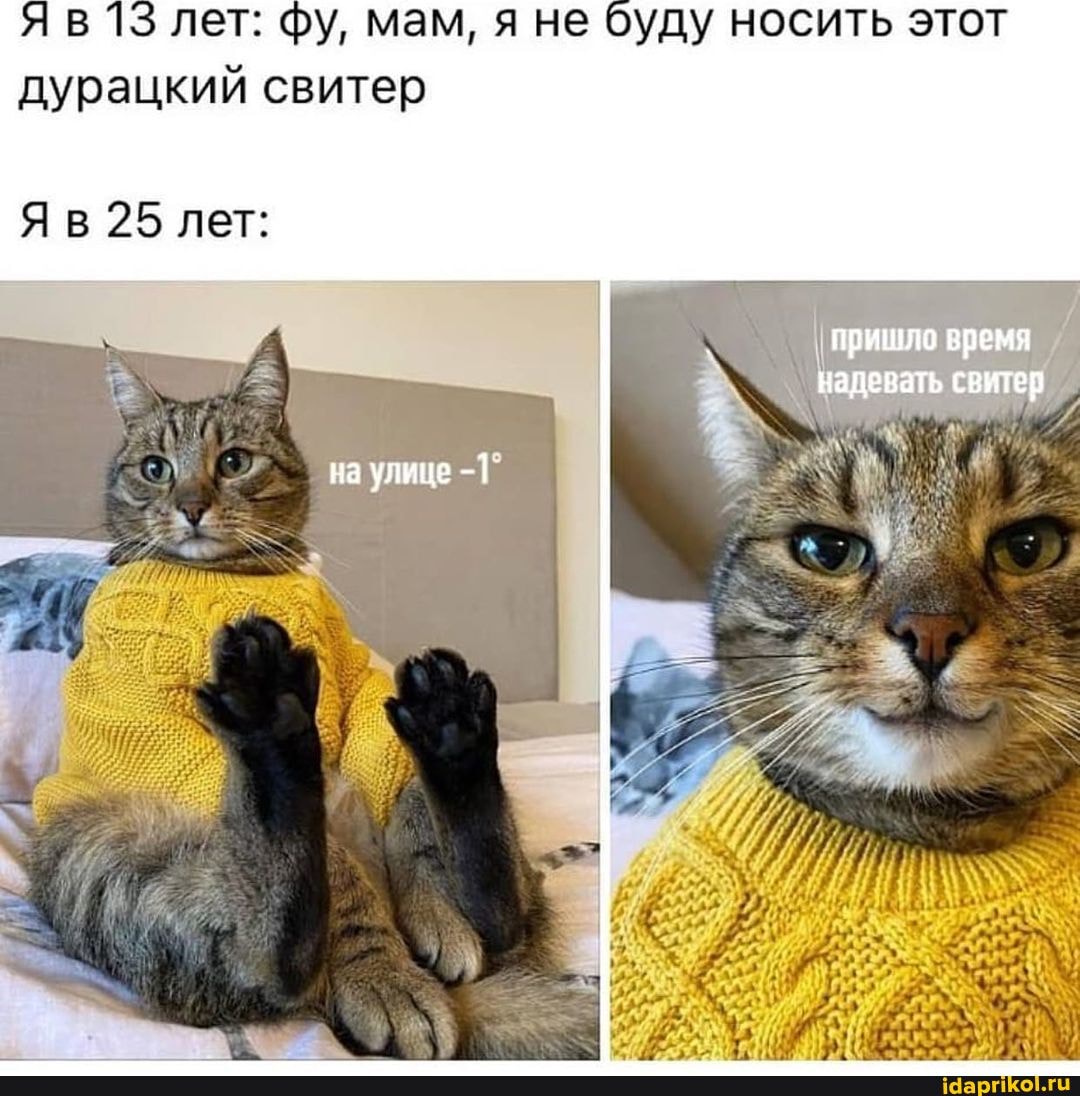 13 лет: Фу, мам, я не буду носить этот
Яв 13 лет дурацкий свитер
пришло время надевать свитер
Яв 25 лет
на улице -1