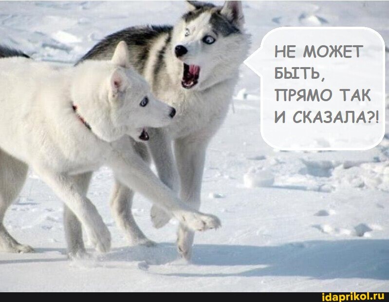 НЕ МОЖЕТ \
БЫТЬ,
ПРЯМО ТАК
И СКАЗАЛА?!
> ^