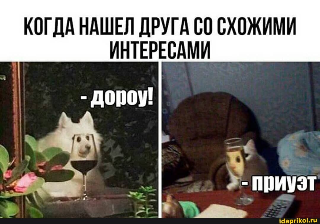 КОГДА НАШЕЛ ДРУГА СХОЖИМИ ИНТЕРЕСАМИ