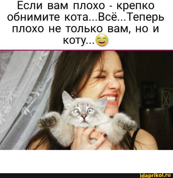 Если вам плохо - крепко обнимите кота...Всв... Теперь плохо не только вам, но коту...