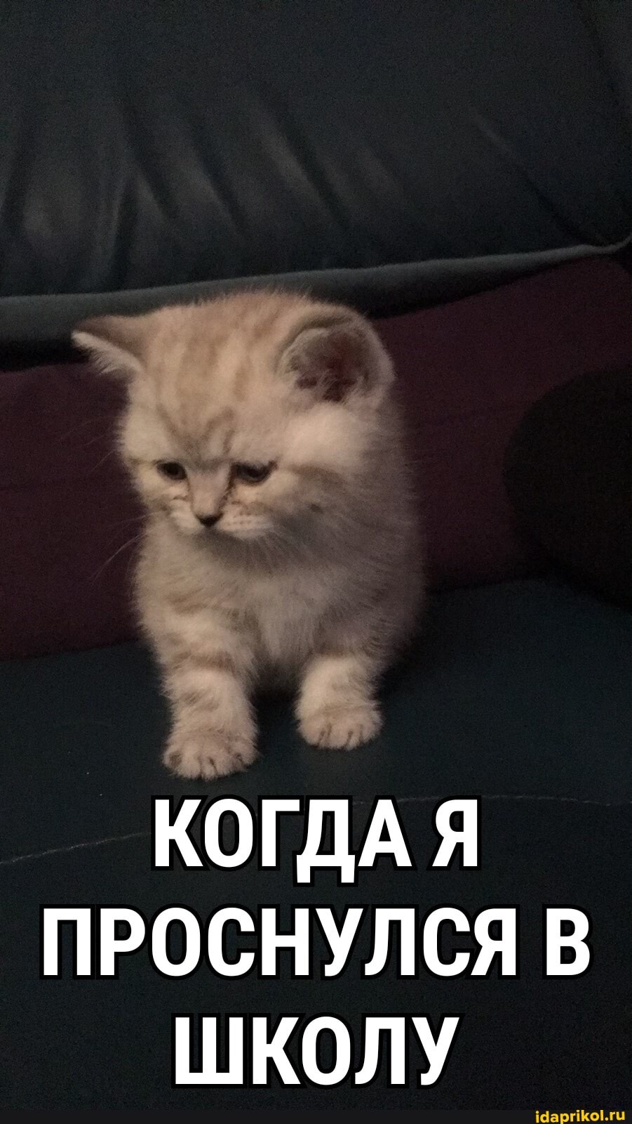 КОГДА Я ПРОСНУЛСЯ В ШКОЛУ