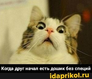 Когда друг начал есть дошик без специй