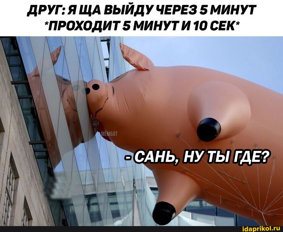 ДРУГ: Я ЩА ВЫЙДУЧЕРЕЗ 5 МИНУТ
*ПРОХОДИТ 5 МИНУТИ 10 СЕК*
ANS