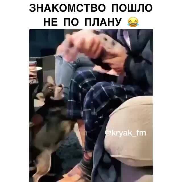 ЗНАКОМСТВО ПОШЛО НЕ ПО ПЛАНУ