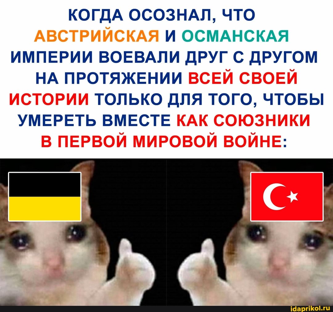 КОГДА ОСОЗНАЛ, ЧТО АВСТРИЙСКАЯ И ОСМАНСКАЯ ИМПЕРИИ ВОЕВАЛИ ДРУГ С ДРУГОМ НА ПРОТЯЖЕНИИ ВСЕЙ СВОЕЙ
ИСТОРИИ ТОЛЬКО ДЛЯ ТОГО, ЧТОБЫ
УМЕРЕТЬ ВМЕСТЕ КАК СОЮЗНИКИ В ПЕРВОЙ МИРОВОЙ ВОЙНЕ: