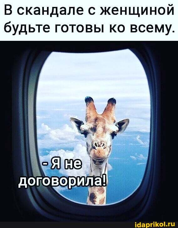 В скандале с женщиной будьте готовы ко всему.
договорила!