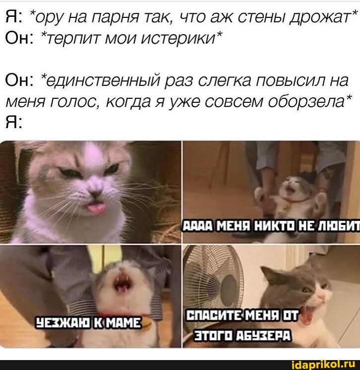 Я: *ору на парня так, что аж стены дрожат"
Он: *терпит мои истерики*
Он: *единственный раз слегка повысил на меня голос, когда я уже совсем оборзела*
МЕНЯ НИКТО НЕ ЛЮБИТ
СПАСИТЕ МЕНЯ
ЧЕЗЖАН МАМЕ
ЭТОГО АБУЗЕРА
