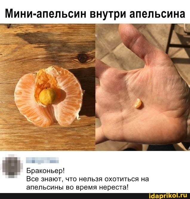 Мини-апельсин внутри апельсина
Браконьер!
Все знают, что нельзя охотиться на апельсины во время нереста!