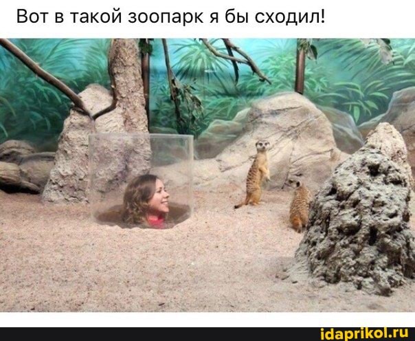 Вот в такой зоопарк я бы сходил!