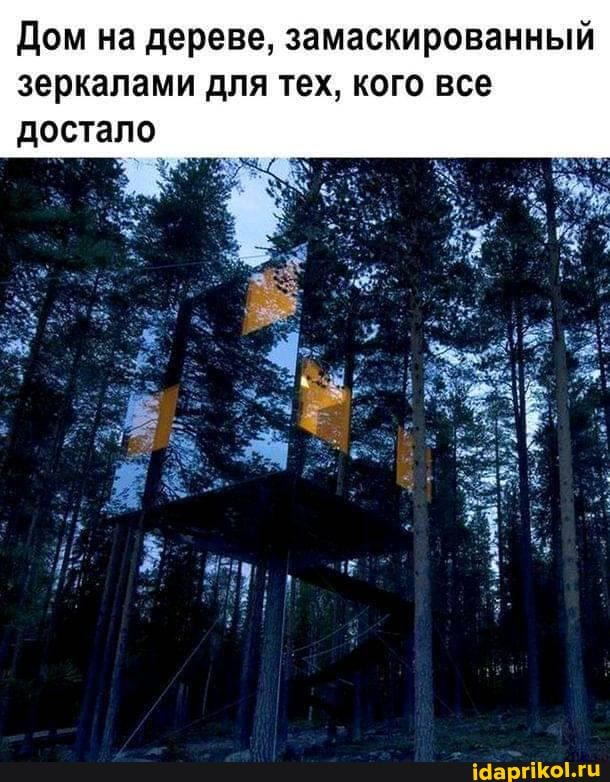 Дом на дереве, замаскированный зеркалами для тех, кого все достало