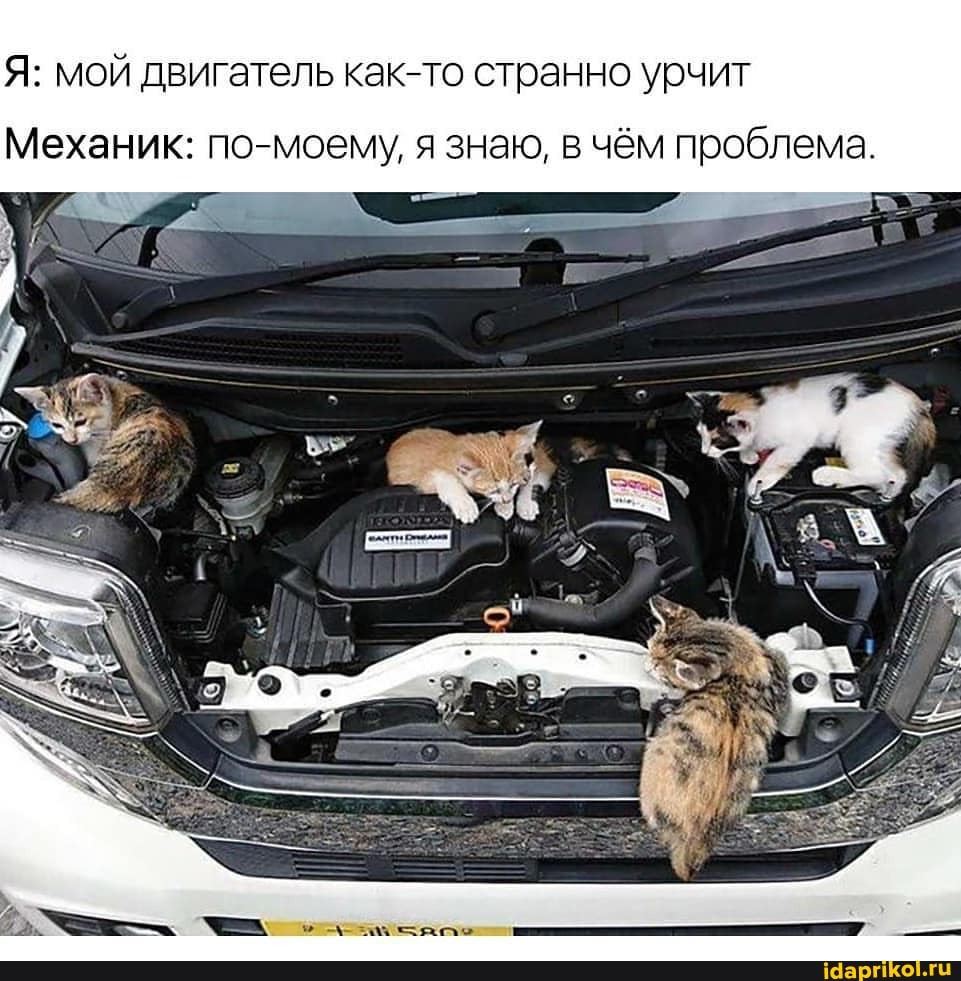 Я: мой двигатель как-то странно урчит
Механик: по- я знаю, в чём проблема.