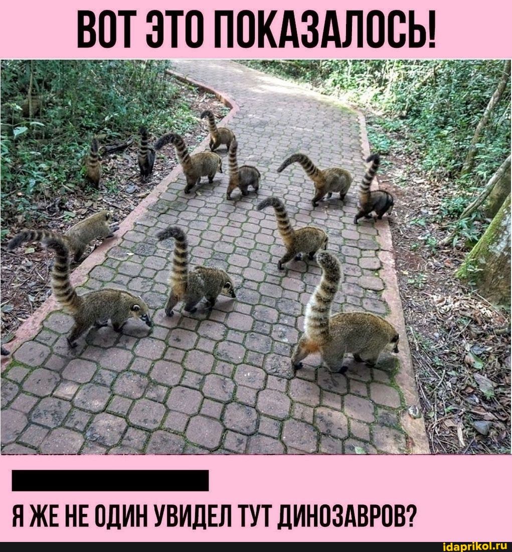 ВОТ ЭТО ПОКАЗАЛОСЫ
Я ЖЕНЕ ОДИН УВИДЕЛ ТУТ ДИНОЗАВРОВ?
