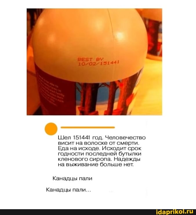 Шел 151441 год. Человечество висит на волоске от смерти.
Еда на исходе. Исходит срок годности последней бутылки кленового сиропа. Надежды на выживание больше нет.
Канадцы пали
Канадцы пали...