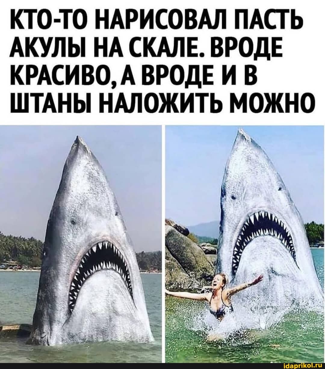 КТО-ТО НАРИСОВАЛ ПАСТЬ АКУЛЫ НА СКАЛЕ. ВРОДЕ КРАСИВО, А ВРОДЕ И В ШТАНЫ НАЛОЖИТЬ МОЖНО