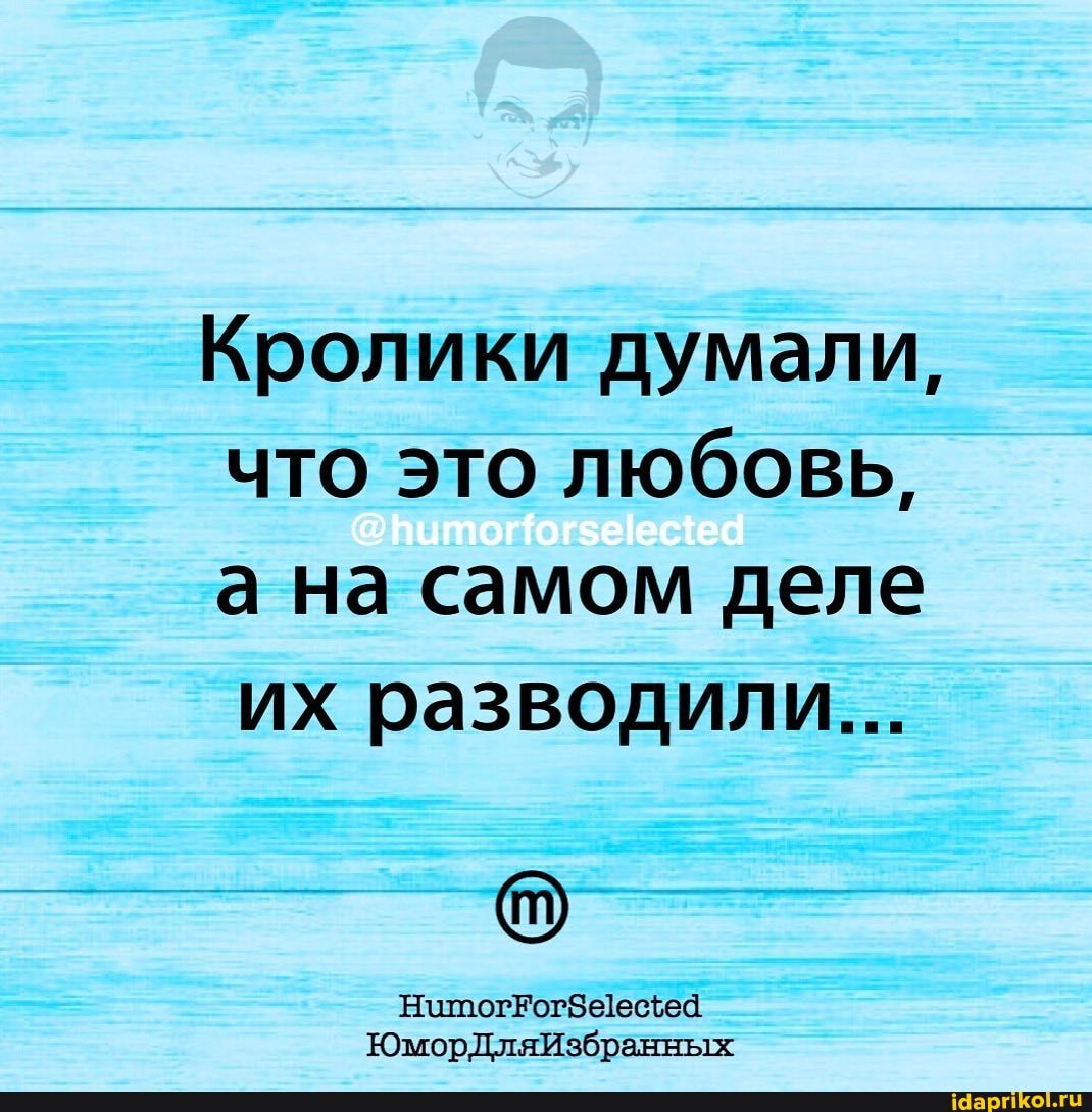 Кролики думали, что это любовь,
а на самом деле их разводили...
ЮморДляИзбранных