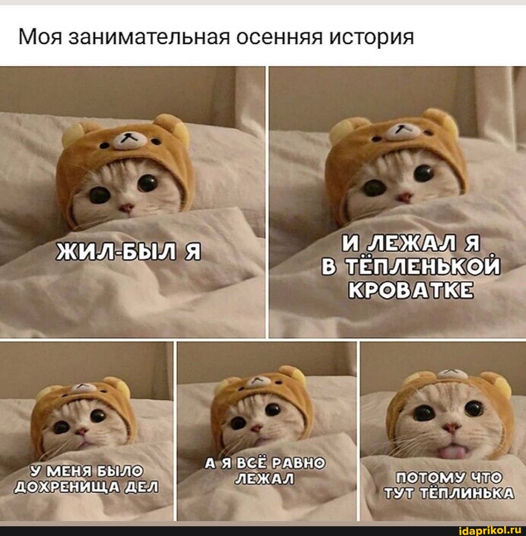 И ЛЕЖАЛ В ТЕПЛЕНЬКОЙ КРОВАТКЕ
Моя занимательная осенняя история
ЖИЛ-БЫЛ Я
А ВСЕ РАВНО
У МЕНЯ БЫЛО ЛЕЖАЛ
потому чт
ДОХРЕНИЩА ДЕЛ что
ТУТ ТЕПЛИНЬКА
