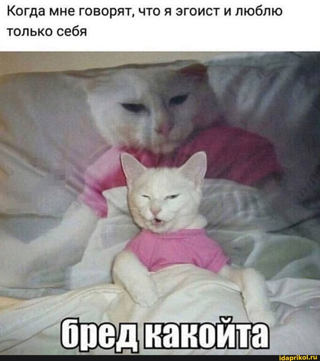 Когда мне говорят, что я эгоист и люблю только себя