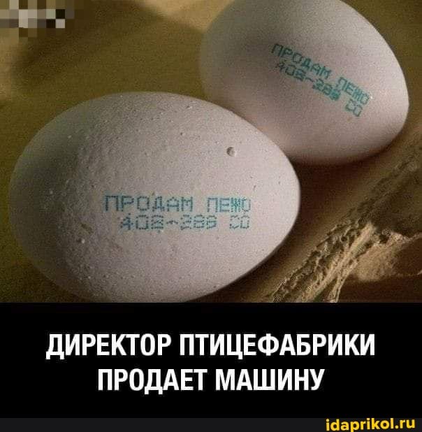 ДИРЕКТОР ПТИЦЕФАБРИКИ ПРОДАЕТ МАШИНУ