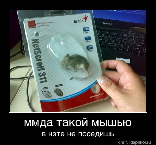 ммда такой мышью
в нэте не поседишь - ммда такой мышью
в нэте не поседишь