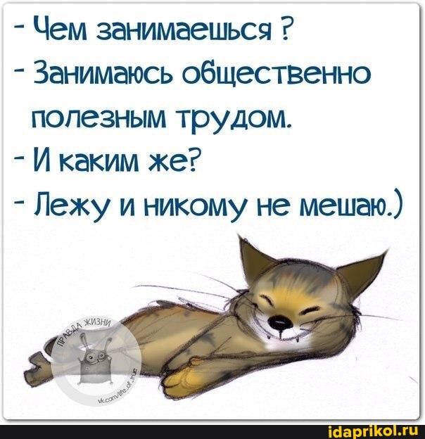 - Чем занимаешься ?
- Занимаюсь общественно полезным трудом.
- И каким же?
- Лежу и никому не мешею.)