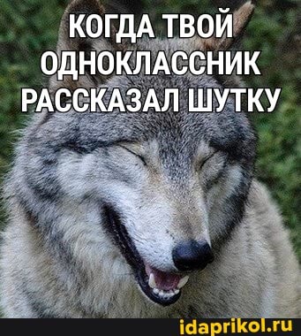 КОГДА ТВОЙ ОДНОКЛАССНИК РАССКАЗАЛ ШУТКУ