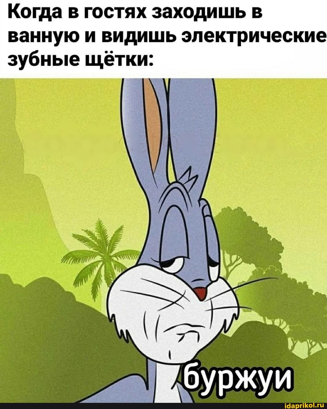 Когда в гостях заходишь в ванную и видишь электрические зубные щётки: