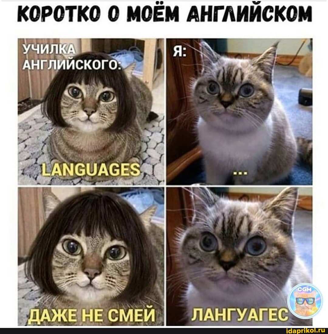 КОРОТКО 0 МОЁМ АНГЛИЙСКОМ
УЧИЛКА
АНГЛИИСКОГО:
НЕ СМЕЙ
