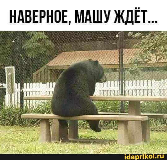 НАВЕРНОЕ, МАШУ ЖДЕТ...