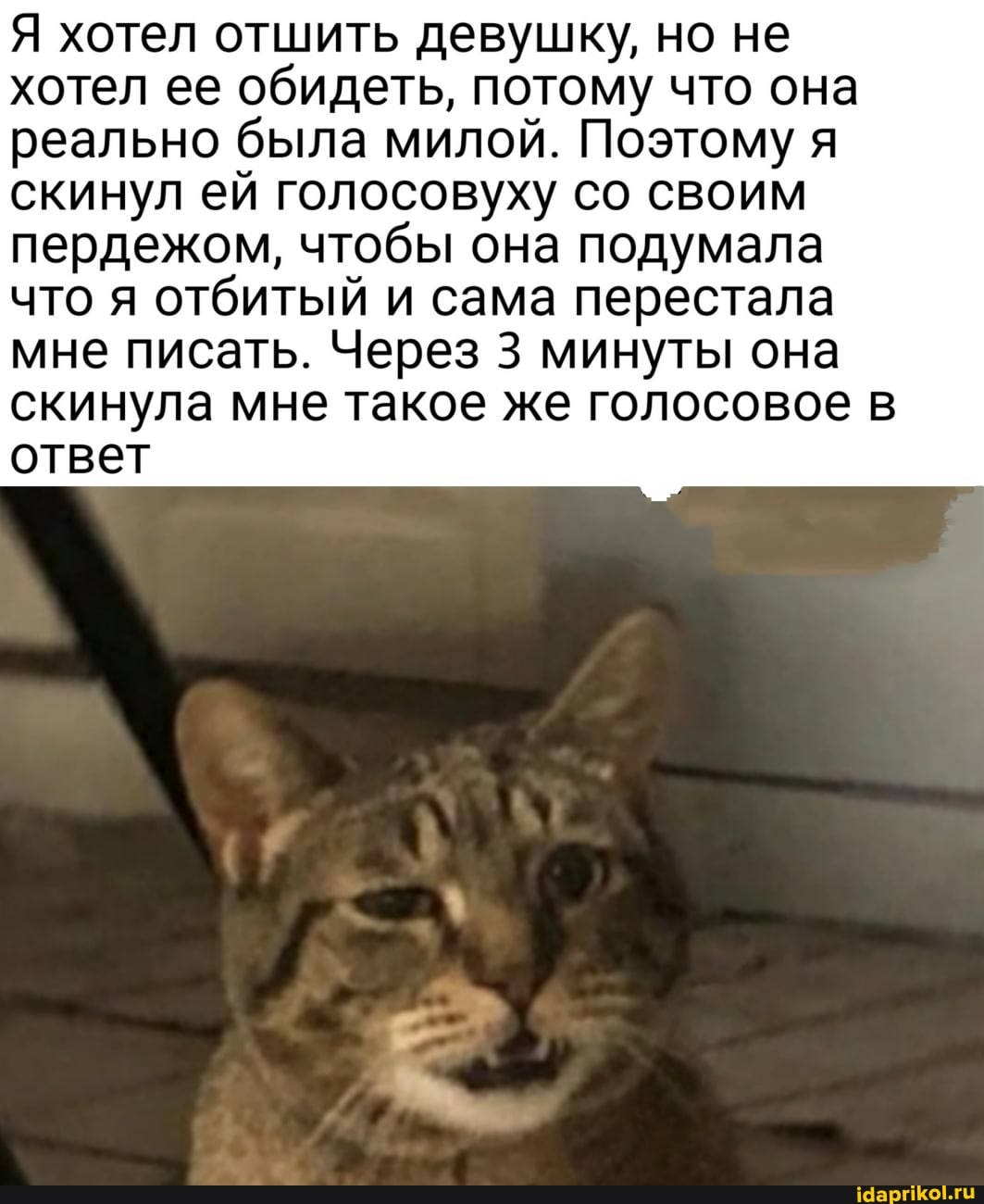 Я хотел отшить девушку, но не хотел ее обидеть, потому что она реально была милой. Поэтому я скинул ей голос со своим пердежом, чтобы она подумала
что я отбитый и сама перестала мне писать. Через 3 минуты она скинула мне такое же голосовое в ответ