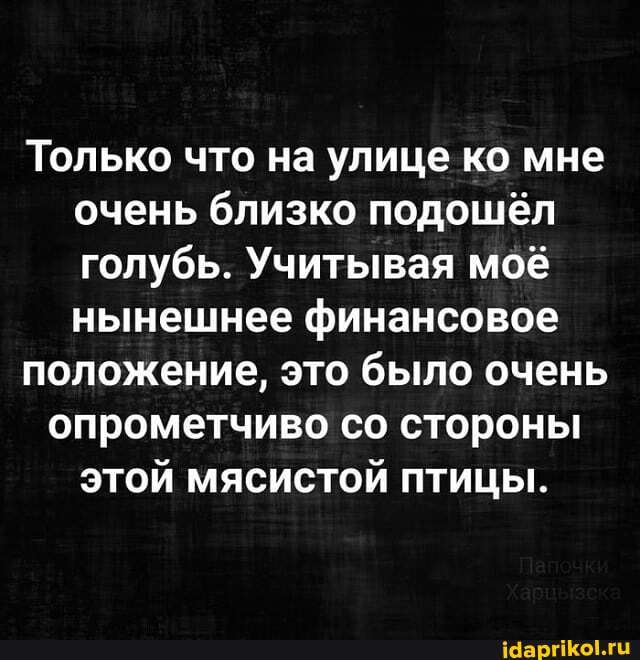 Только что на улице ко мне очень близко подошёл голубь. Учитывая моё нынешнее финансовое
положение, это было очень
опрометчиво со стороны этой мясистой птицы.