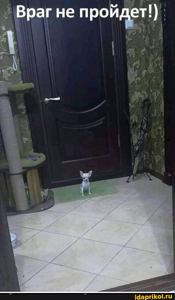 Враг не пройдет!}